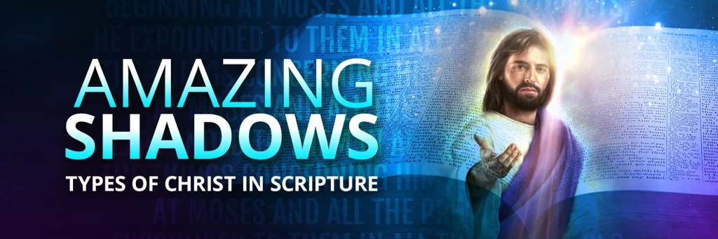 Announcing the “Amazing Shadows” Online Study Program!