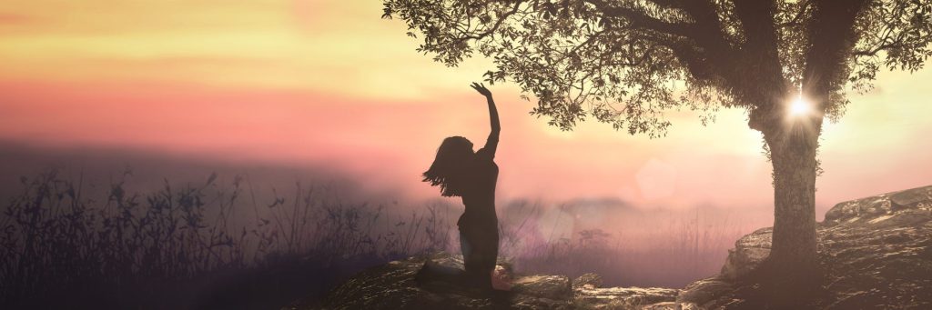 Asking Plants to Forgive?