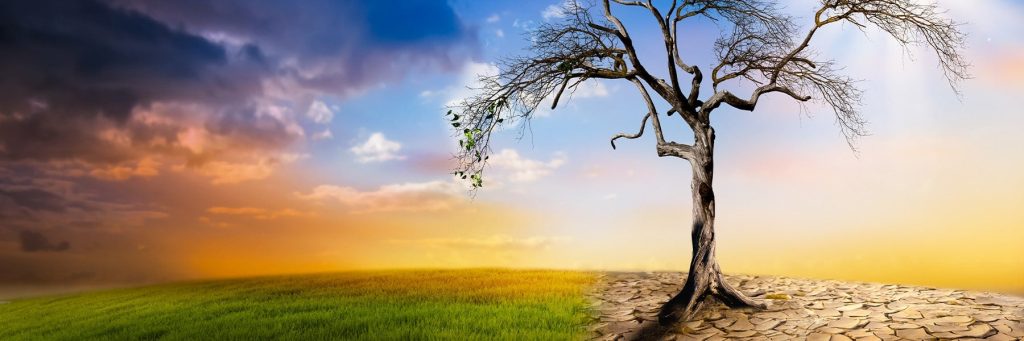 Pres. Biden, Pope Francis “Could Make a Climate Change Miracle”