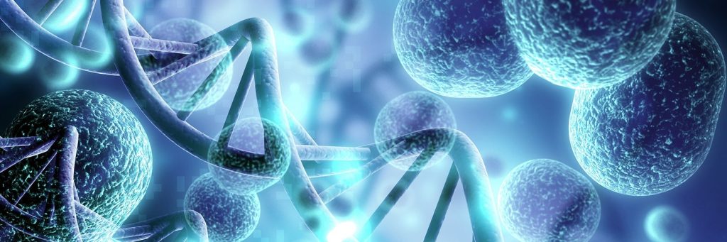 The “Immortal” Cells of Henrietta Lacks