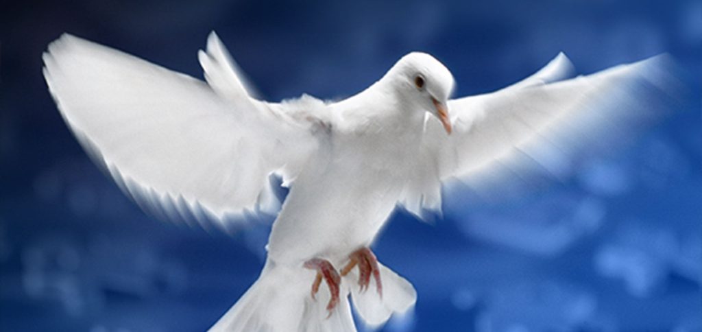 Finding the Missing Peace