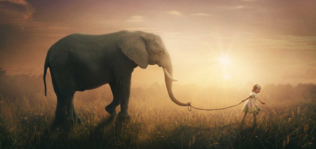 Will our pets be in heaven?