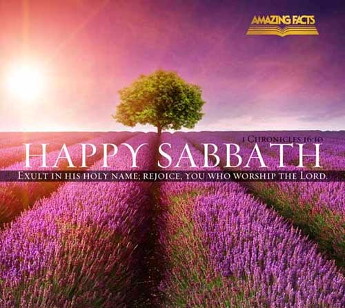 Glory ye in his holy name: let the heart of them rejoice that seek the LORD. ( 1 Chronicles 16:10)