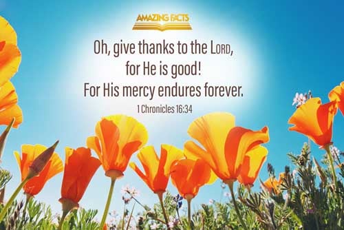 O give thanks unto the LORD; for he is good; for his mercy endureth for ever. 1 Chronicles 16:34