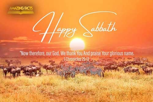 Now therefore, our God, we thank thee, and praise thy glorious name. 1 Chronicles 29:13