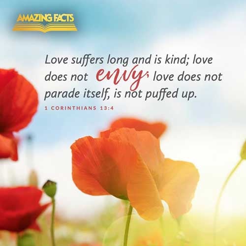 Charity suffereth long, and is kind; charity envieth not; charity vaunteth not itself, is not puffed up, 1 Corinthians 13:4