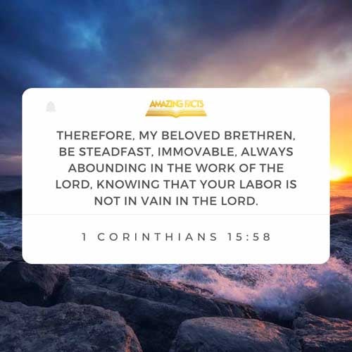 Therefore, my beloved brethren, be ye stedfast, unmoveable, always abounding in the work of the Lord, forasmuch as ye know that your labour is not in vain in the Lord. 1 Corinthians 15:58