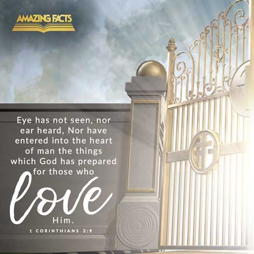 But as it is written, Eye hath not seen, nor ear heard, neither have entered into the heart of man, the things which God hath prepared for them that love him. 1 Corinthians 2:9