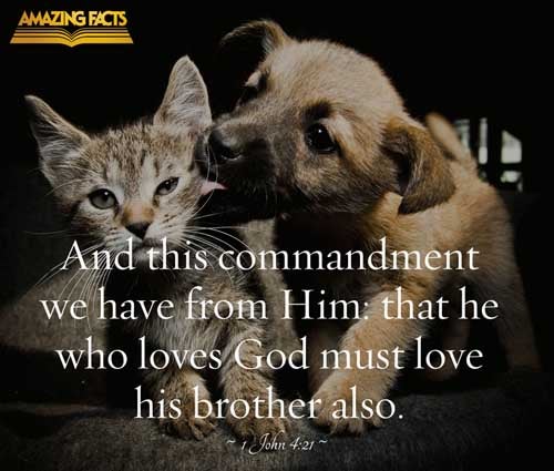 And this commandment have we from him, That he who loveth God love his brother also. 1 John 4:21
