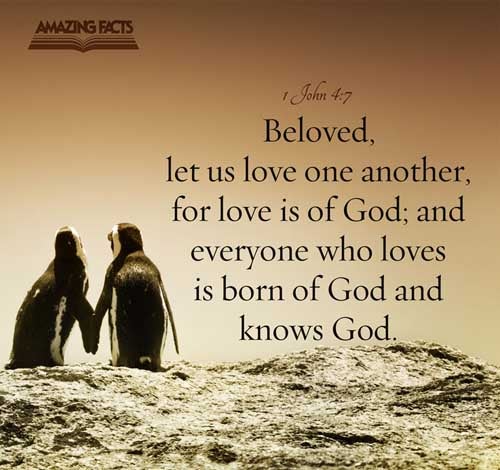 Beloved, let us love one another: for love is of God; and every one that loveth is born of God, and knoweth God. 1 John 4:7