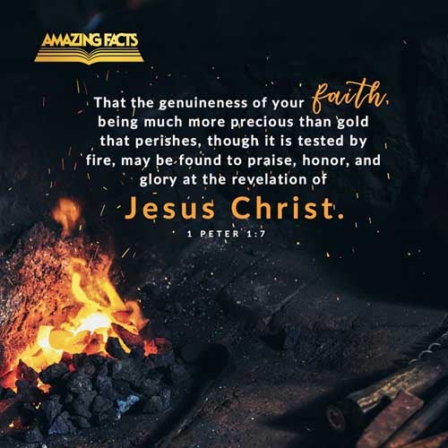 That the trial of your faith, being much more precious than of gold that perisheth, though it be tried with fire, might be found unto praise and honour and glory at the appearing of Jesus Christ: 1 Peter 1:7