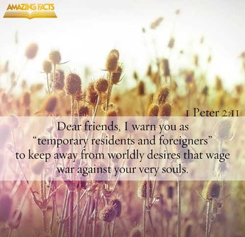 Dearly beloved, I beseech you as strangers and pilgrims, abstain from fleshly lusts, which war against the soul; (1 Peter 2:11)