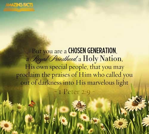But ye are a chosen generation, a royal priesthood, an holy nation, a peculiar people; that ye should shew forth the praises of him who hath called you out of darkness into his marvellous light: (1 Peter 2:9)