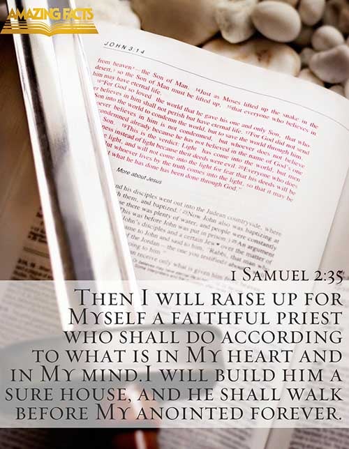 And I will raise me up a faithful priest, that shall do according to that which is in mine heart and in my mind: and I will build him a sure house; and he shall walk before mine anointed for ever. (1 Samuel 2:35)