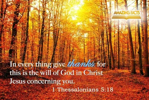 In every thing give thanks: for this is the will of God in Christ Jesus concerning you. 1 Thessalonians 5:18