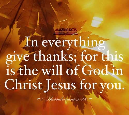 In every thing give thanks: for this is the will of God in Christ Jesus concerning you. 1 Thessalonians 5:18