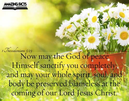 And the very God of peace sanctify you wholly; and I pray God your whole spirit and soul and body be preserved blameless unto the coming of our Lord Jesus Christ. 1 Thessalonians 5:23