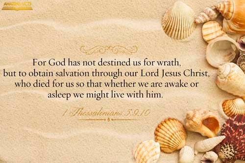 For God hath not appointed us to wrath, but to obtain salvation by our Lord Jesus Christ, Who died for us, that, whether we wake or sleep, we should live together with him. (1 Thessalonians 5:9-10)