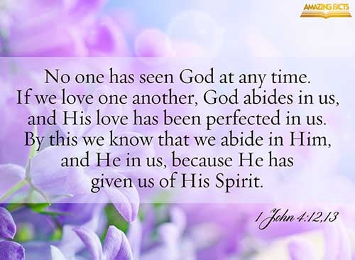 No man hath seen God at any time. If we love one another, God dwelleth in us, and his love is perfected in us. Hereby know we that we dwell in him, and he in us, because he hath given us of his Spirit. (1 John 4:12-13)