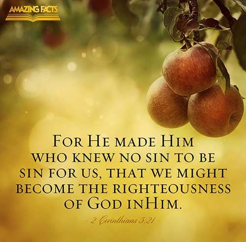 For he hath made him to be sin for us, who knew no sin; that we might be made the righteousness of God in him. (2 Corinthians 5:21)