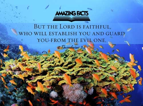 But the Lord is faithful, who shall stablish you, and keep you from evil. 2 Thessalonians 3:3