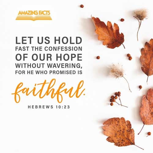 Not forsaking the assembling of ourselves together, as the manner of some is; but exhorting one another: and so much the more, as ye see the day approaching. Hebrews 10:25