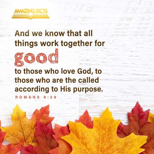 Likewise the Spirit also helpeth our infirmities: for we know not what we should pray for as we ought: but the Spirit itself maketh intercession for us with groanings which cannot be uttered. Romans 8:26