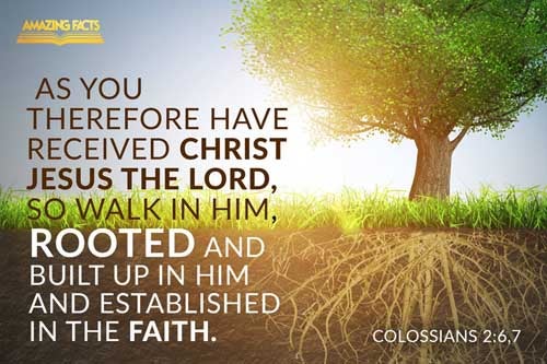 As ye have therefore received Christ Jesus the Lord, so walk ye in him: Rooted and built up in him, and stablished in the faith, as ye have been taught, abounding therein with thanksgiving. Colossians 2:6-7
