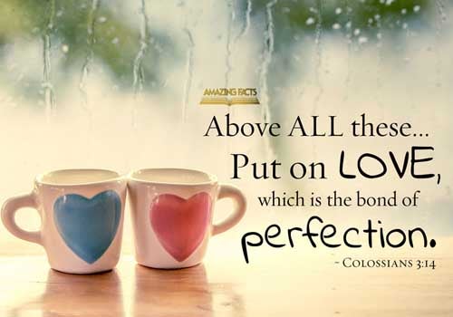 And above all these things put on charity, which is the bond of perfectness. Colossians 3:14