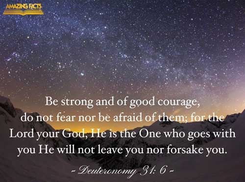 Be strong and of a good courage, fear not, nor be afraid of them: for the LORD thy God, he it is that doth go with thee; he will not fail thee, nor forsake thee. Deuteronomy 31:6