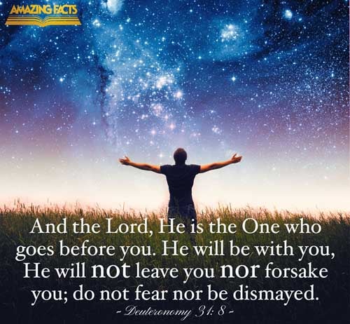 And the LORD, he it is that doth go before thee; he will be with thee, he will not fail thee, neither forsake thee: fear not, neither be dismayed. Deuteronomy 31:8
