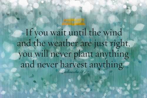 He that observeth the wind shall not sow; and he that regardeth the clouds shall not reap. (Ecclesiastes 11:4)