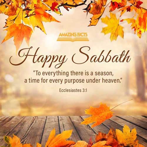 To every thing there is a season, and a time to every purpose under the heaven: Ecclesiastes 3:1