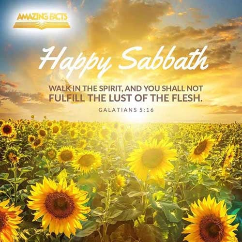 This I say then, Walk in the Spirit, and ye shall not fulfil the lust of the flesh. Galatians 5:16