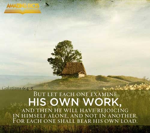 But let every man prove his own work, and then shall he have rejoicing in himself alone, and not in another. For every man shall bear his own burden. (Galatians 6:4-5)