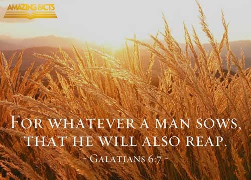Be not deceived; God is not mocked: for whatsoever a man soweth, that shall he also reap. Galatians 6:7
