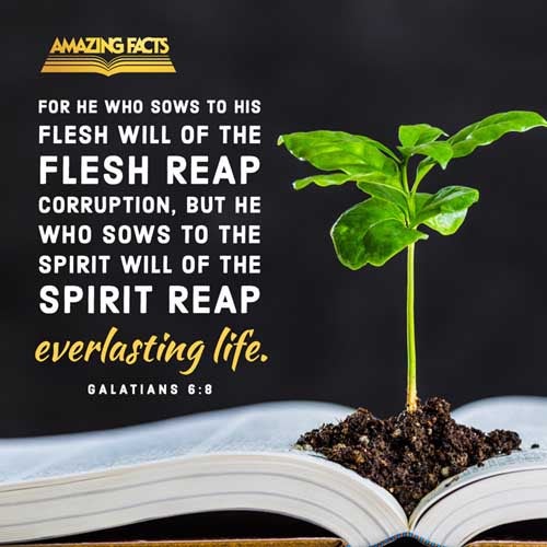 For he that soweth to his flesh shall of the flesh reap corruption; but he that soweth to the Spirit shall of the Spirit reap life everlasting. Galatians 6:8