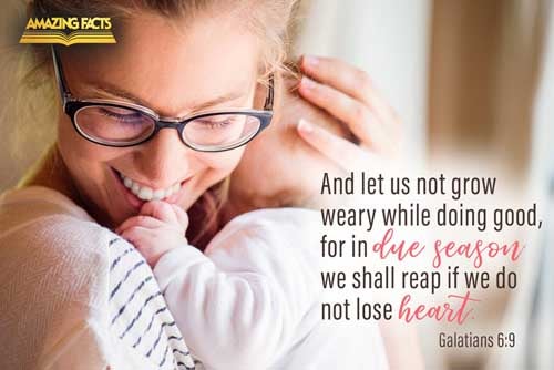 And let us not be weary in well doing: for in due season we shall reap, if we faint not. Galatians 6:9