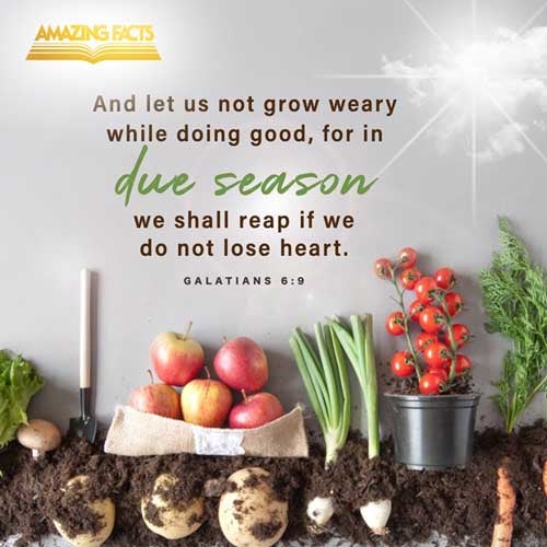 And let us not be weary in well doing: for in due season we shall reap, if we faint not. Galatians 6:9