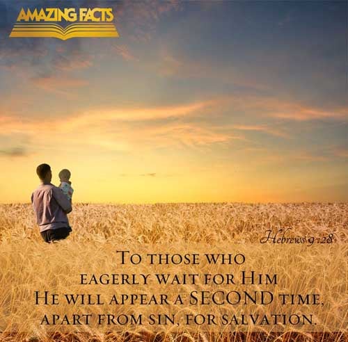 So Christ was once offered to bear the sins of many; and unto them that look for him shall he appear the second time without sin unto salvation. Hebrews 9:28