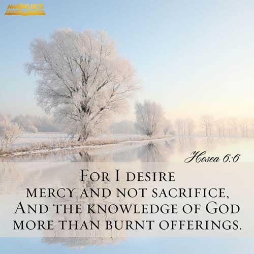 For I desired mercy, and not sacrifice; and the knowledge of God more than burnt offerings. (Hosea 6:6)