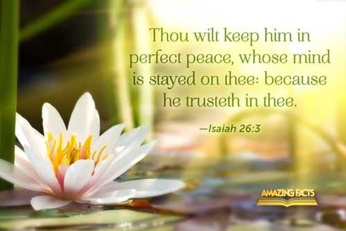 Thou wilt keep him in perfect peace, whose mind is stayed on thee: because he trusteth in thee. Isaiah 26:3