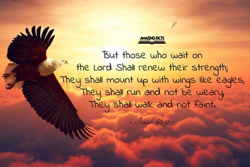 But they that wait upon the LORD shall renew their strength; they shall mount up with wings as eagles; they shall run, and not be weary; and they shall walk, and not faint. Isaiah 40:31