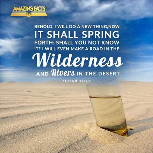 Behold, I will do a new thing; now it shall spring forth; shall ye not know it? I will even make a way in the wilderness, and rivers in the desert. Isaiah 43:19