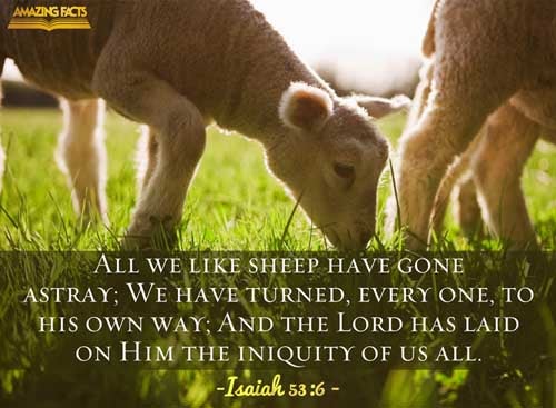All we like sheep have gone astray; we have turned every one to his own way; and the LORD hath laid on him the iniquity of us all. Isaiah 53:6