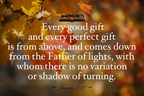 Every good gift and every perfect gift is from above, and cometh down from the Father of lights, with whom is no variableness, neither shadow of turning. James 1:17