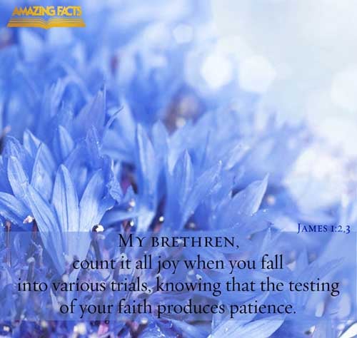 My brethren, count it all joy when ye fall into divers temptations; Knowing this, that the trying of your faith worketh patience. (James 1:2-3)