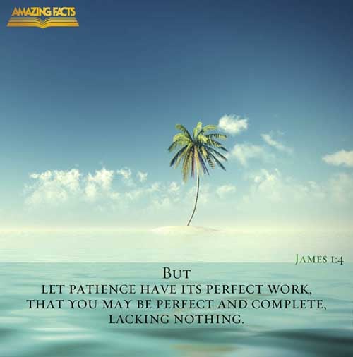 But let patience have her perfect work, that ye may be perfect and entire, wanting nothing. (James 1:4)