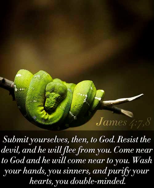 James 4:7-8 (7) Submit yourselves therefore to God. Resist the devil, and he will flee from you. (8) Draw nigh to God, and he will draw nigh to you. Cleanse your hands, ye sinners; and purify your hearts, ye double minded.