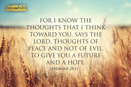 For I know the thoughts that I think toward you, saith the LORD, thoughts of peace, and not of evil, to give you an expected end. Jeremiah 29:11